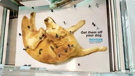 Frontline guerilla marketing ad