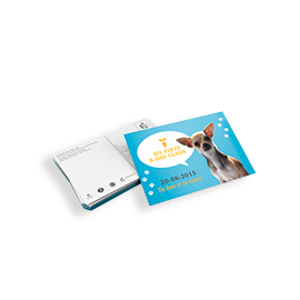 Cartes de voeux